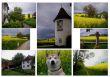 11-05-2010 Salem Rapsfeld Collage-1.jpg