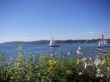 31-07-2010  Hafen UU-004.JPG